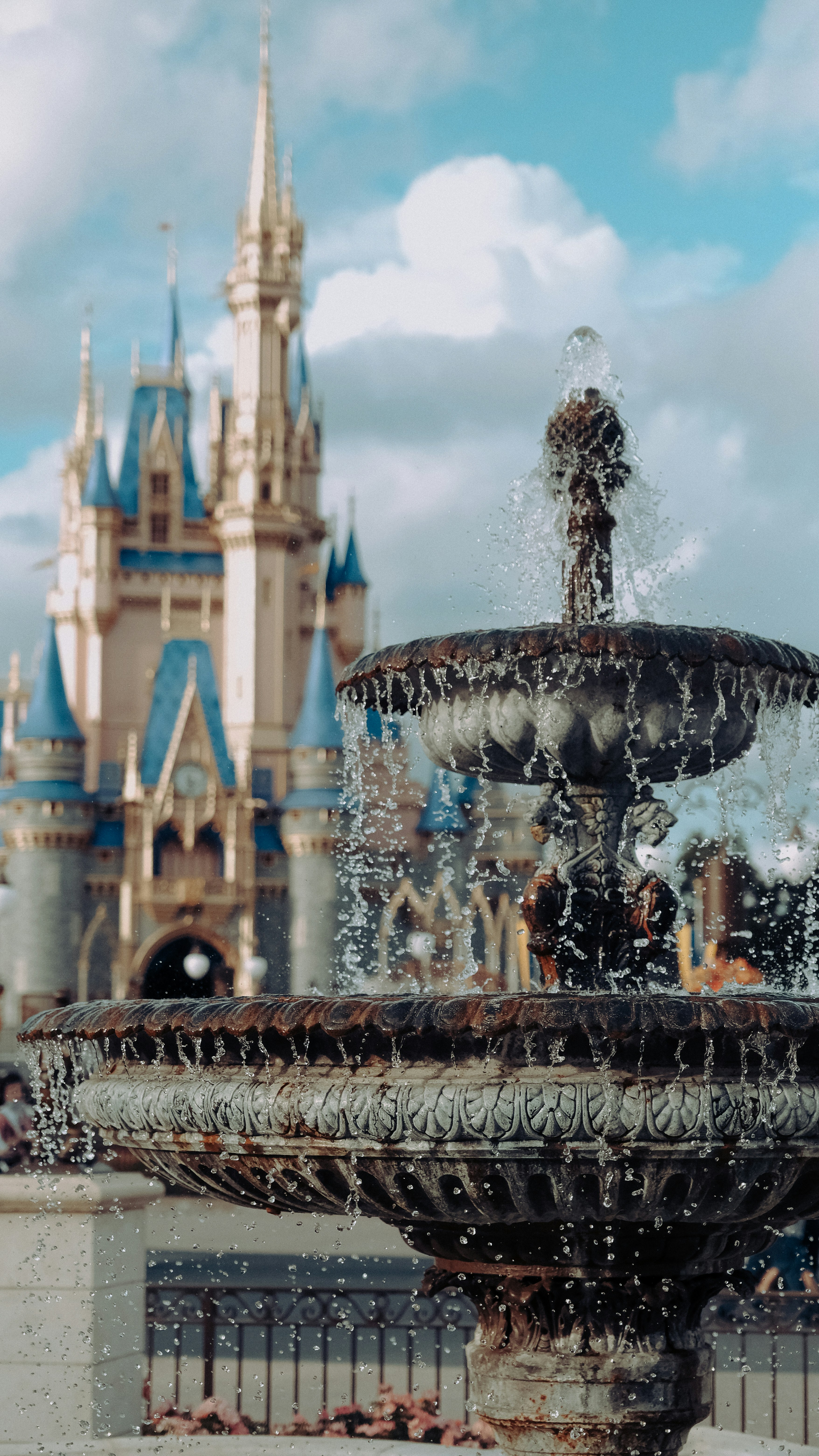 Disney Castle Landscape